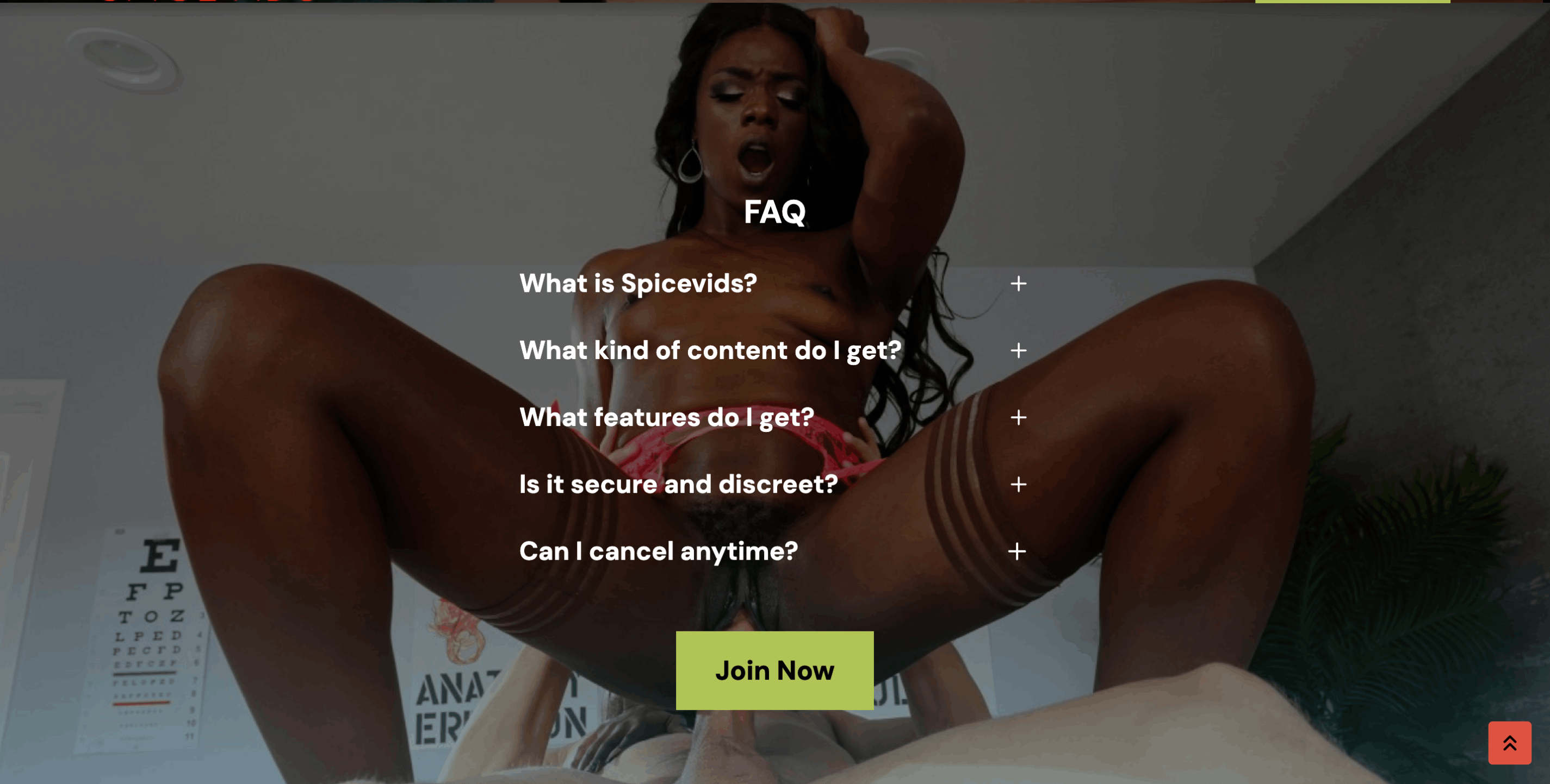 XHamster free videos